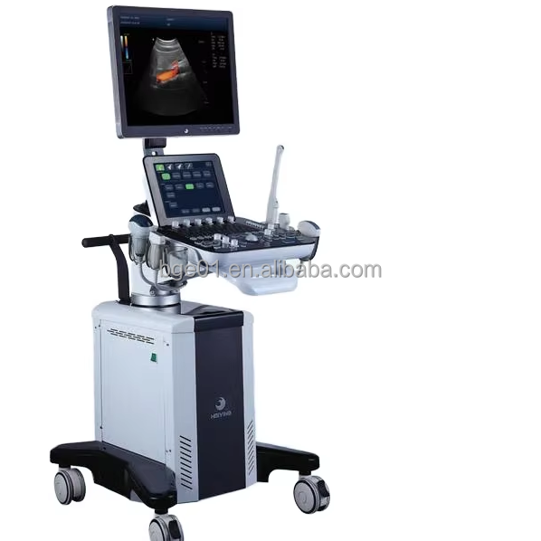 159-Good Selling 3D Color Doppler Imaging Diagnostic System Ultrasound Scanner for Metal Plastic Electri.jpg